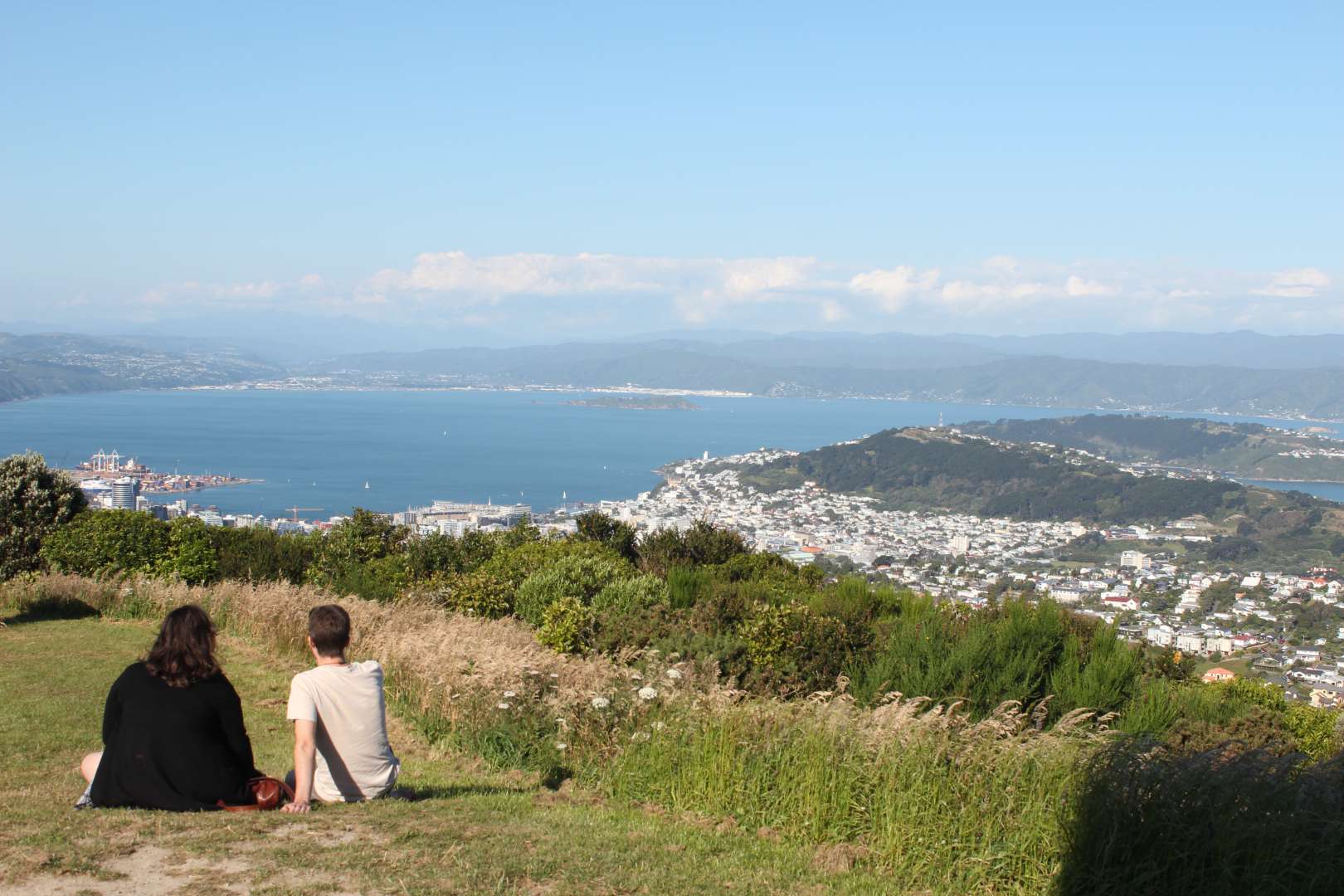 Brooklyn Hill lookout